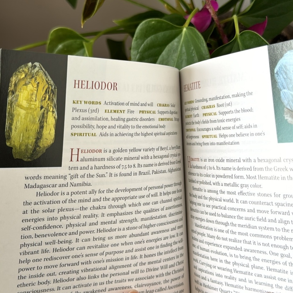 The Pocket Book of Stones - Picture 3 of 3